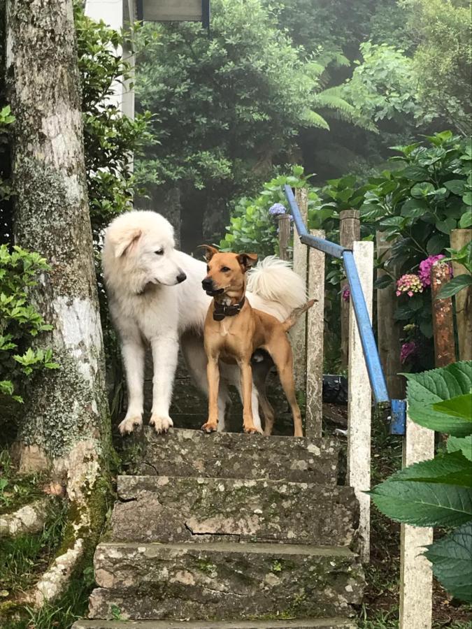 Chale Romantico - Gramado Luaran gambar